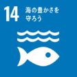 SDGs14.海の豊かさを守ろう